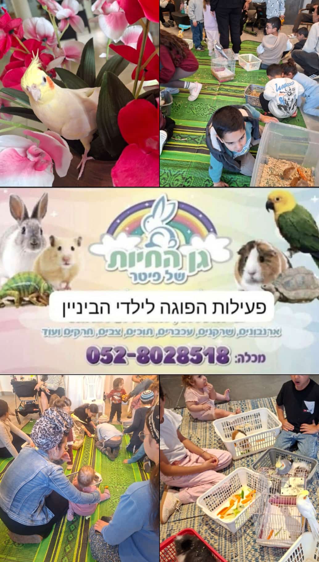 סדנא עם בעלי חיים